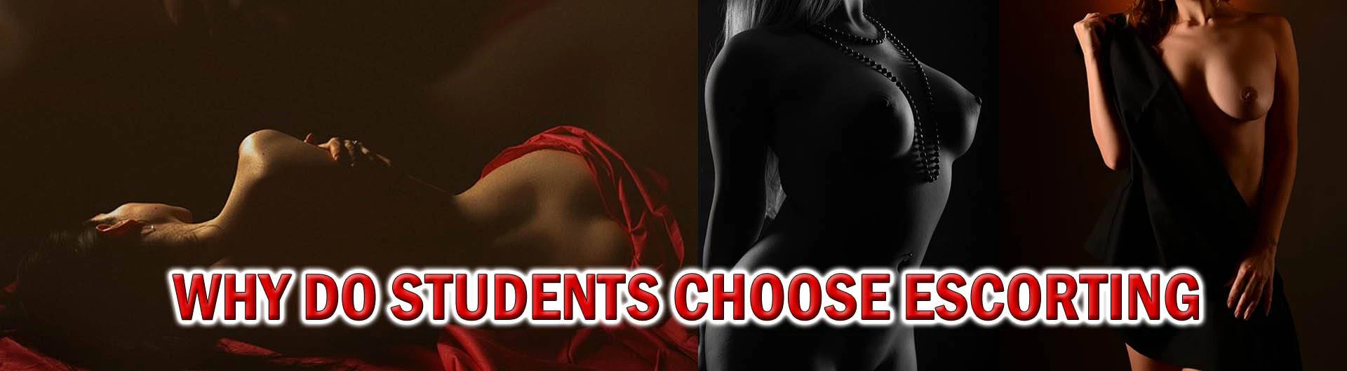 Why Do Students Choose Escorting